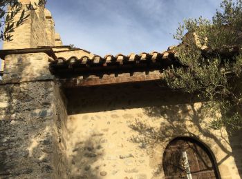 Randonnée Marche Ille-sur-Têt - Ille église Casenoves boucle  - Photo