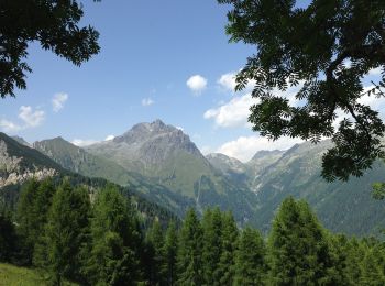 Tocht Te voet Breno - Cascinello Misa - Goletto di Gaver - Photo