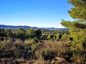 Tocht Stappen Le Beausset - le beausset abime de Maramouyé - Photo