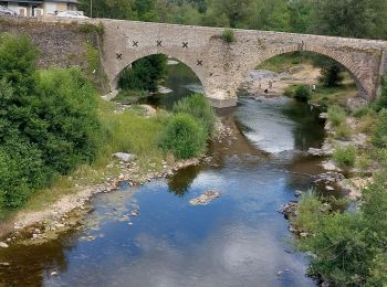 Tour Wandern Pont de Montvert - Sud Mont Lozère - Etape 7 Pont Montvert/Florac - Photo