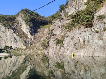 Tocht Andere activiteiten  - Ballade dès ponts suspendus Wonju-si  - Photo