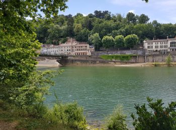 Randonnée Vélo de route Villeurbanne - Villeurbanne-IleBarbe - Photo