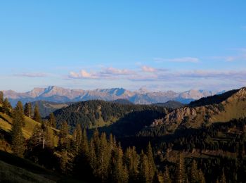 Tour Zu Fuß Oberstaufen - Wandergebiet Oberstaufen - Photo