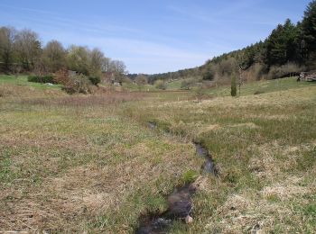 Percorso A piedi Frammersbach - Siebengrottenweg - Photo