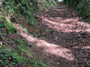Randonnée Marche Cherbourg-en-Cotentin - La Glacerie - Photo
