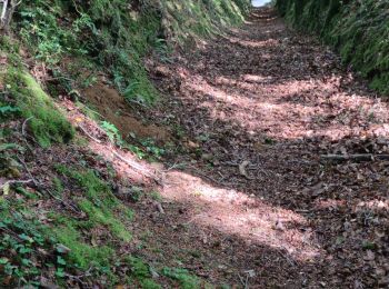 Randonnée Marche Cherbourg-en-Cotentin - La Glacerie  - Photo