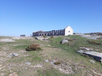 Percorso A piedi Paradela, Contim e Fiães - Paradela - Photo