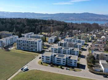 Tour Zu Fuß Zollikon - Waldburg Station - Waltikon - Photo