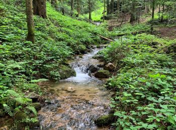 Tour Wandern Saint-Sauveur-en-Rue - Aiguebelle - Photo