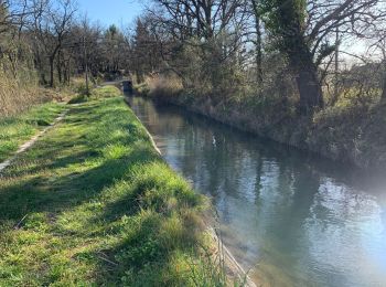 Tour Wandern Aubignan - Rocalinaud - Photo