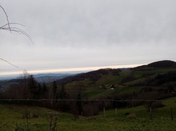 Randonnée Marche Brullioles - De Bruliolles à Montrottier - Photo