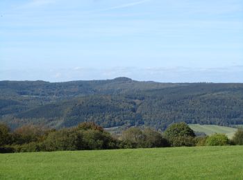 Percorso A piedi Bad Sooden-Allendorf - Sälzerweg 1 - Photo