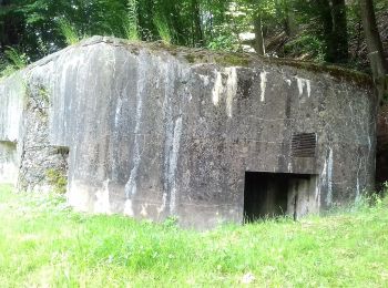 Tocht Te voet Niederbronn-les-Bains - Disque rouge - Photo