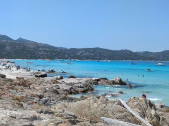 Randonnée Marche Santo-Pietro-di-Tenda - sentier côtier entre la plage du Lotus et Sallecia - Photo