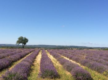 Trail Walking Rocamadour - Rocamadour cougnaguet calouet - Photo