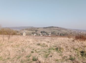 Trail Walking Chézy-sur-Marne - Chézy-sur-Marne du 08-03-2022 - Photo