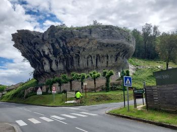 Randonnée Vélo de route Lalinde - J4 La Vézère Les Eyzies - Photo