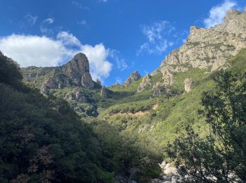 Tocht Stappen Saint-Martin-de-l'Arçon - Gorges de Colombieres et d Heric - Photo