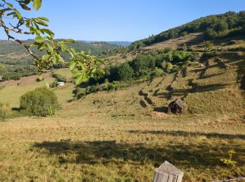 Tocht Stappen Saint-Christophe-Vallon - le puech du cayla - Photo