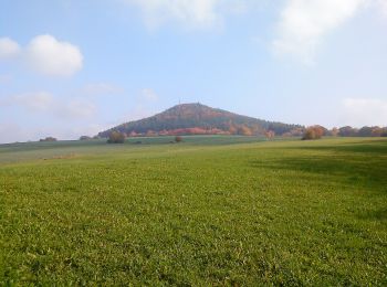 Excursión A pie Schöllkrippen - Kulturweg Schöllkrippen 2 - Photo