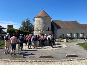 Excursión Senderismo Nogent-l'Artaud - Nogent L’Artaud - Photo