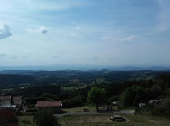 Randonnée A pied Fournols - Les Deux-Frères - Photo