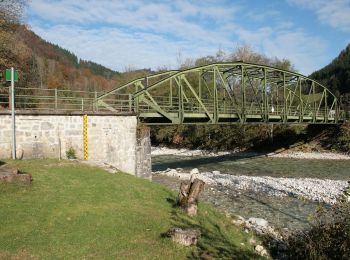 Tour Zu Fuß Gemeinde Göstling an der Ybbs - Rundwanderweg 6 - Photo