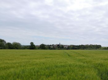 Tocht Stappen Épône - Epone-Mézières à Beynes - Photo