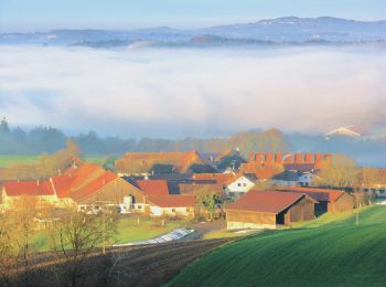 Excursión A pie Thyrnau - Kernmühle - Kellberg - Erlau - Photo