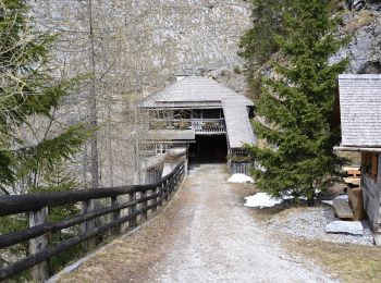 Tour Zu Fuß Großarl - Wanderweg 73 - Photo