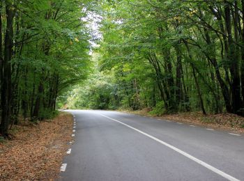 Excursión A pie  - Țuțuiatu - Photo