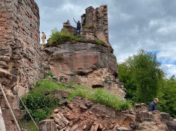 Randonnée Marche Obersteinbach - Obersteinbach - Photo