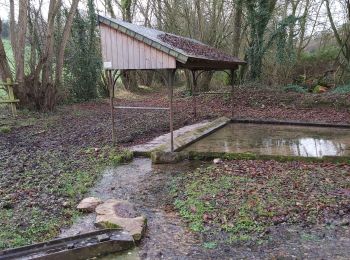 Tour Wandern Valorbiquet - St Cyr du Ronceray  - Photo