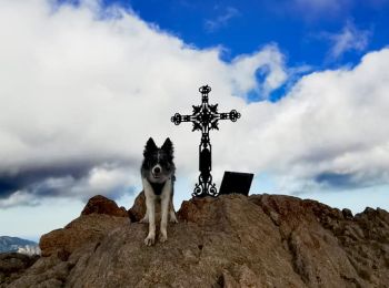 Percorso Marcia Zonza - Trou de la bombe et Punta Velacu - Photo