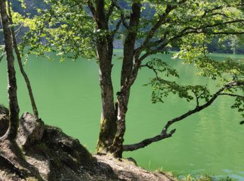 Trail Walking Kirchberg - 2022-07-15 Marche Refuge Baerenkopf Auberge Gazon Vert - Photo