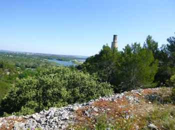 Excursión A pie Beaucaire - La Bouteille - Photo