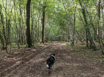 Tour Reiten Toulon-sur-Arroux - RANDO_La_Croix_Des_Autrichiens - Photo