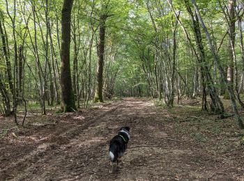 Excursión Paseo ecuestre Toulon-sur-Arroux - RANDO_La_Croix_Des_Autrichiens - Photo