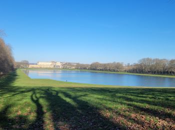 Excursión Bici de montaña Gif-sur-Yvette - sortie vitæ gif Versailles  test 1 - Photo