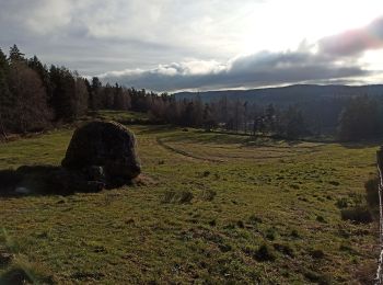 Trail Walking Peyre en Aubrac - 25-12-2022 lac du Moulinet - Photo