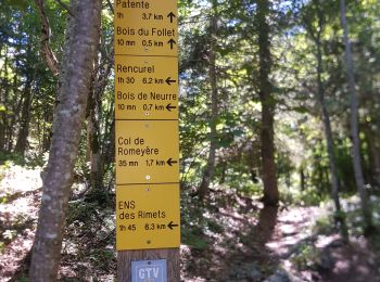 Randonnée Marche Malleval-en-Vercors - Malleval - tour des coulmes partiel - Photo