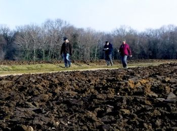 Randonnée Marche Saint-Romain-de-Benet - 17  Vivier 2  -8km300 - Photo