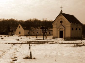 Percorso A piedi Gánt - S■ - Photo