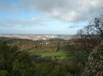 Trail Walking Montfaucon - Montfaucon 12 nov 2019 CAF - Photo