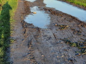 Tour Wandern Camphin-en-Carembault - camphin - Photo