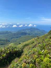 Trail Trail Saint-Claude - Bain jaune - Photo