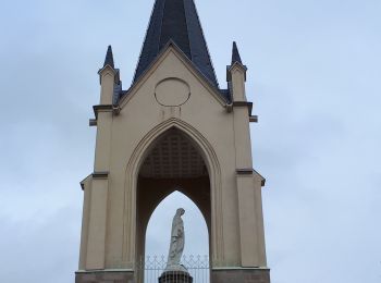 Tocht Stappen Vaivre-et-Montoille - Vesoul - La Motte - Photo