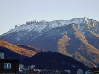 Tocht Te voet Besenello - Senter del Bus del Giaz - Photo