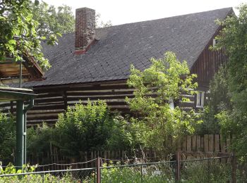 Percorso A piedi Bělá pod Bezdězem - NS Březinské studánky - Photo