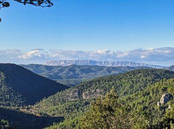 Tocht Stappen Plan-d'Aups-Sainte-Baume - boucle sentier merveilleux 13 km - Photo